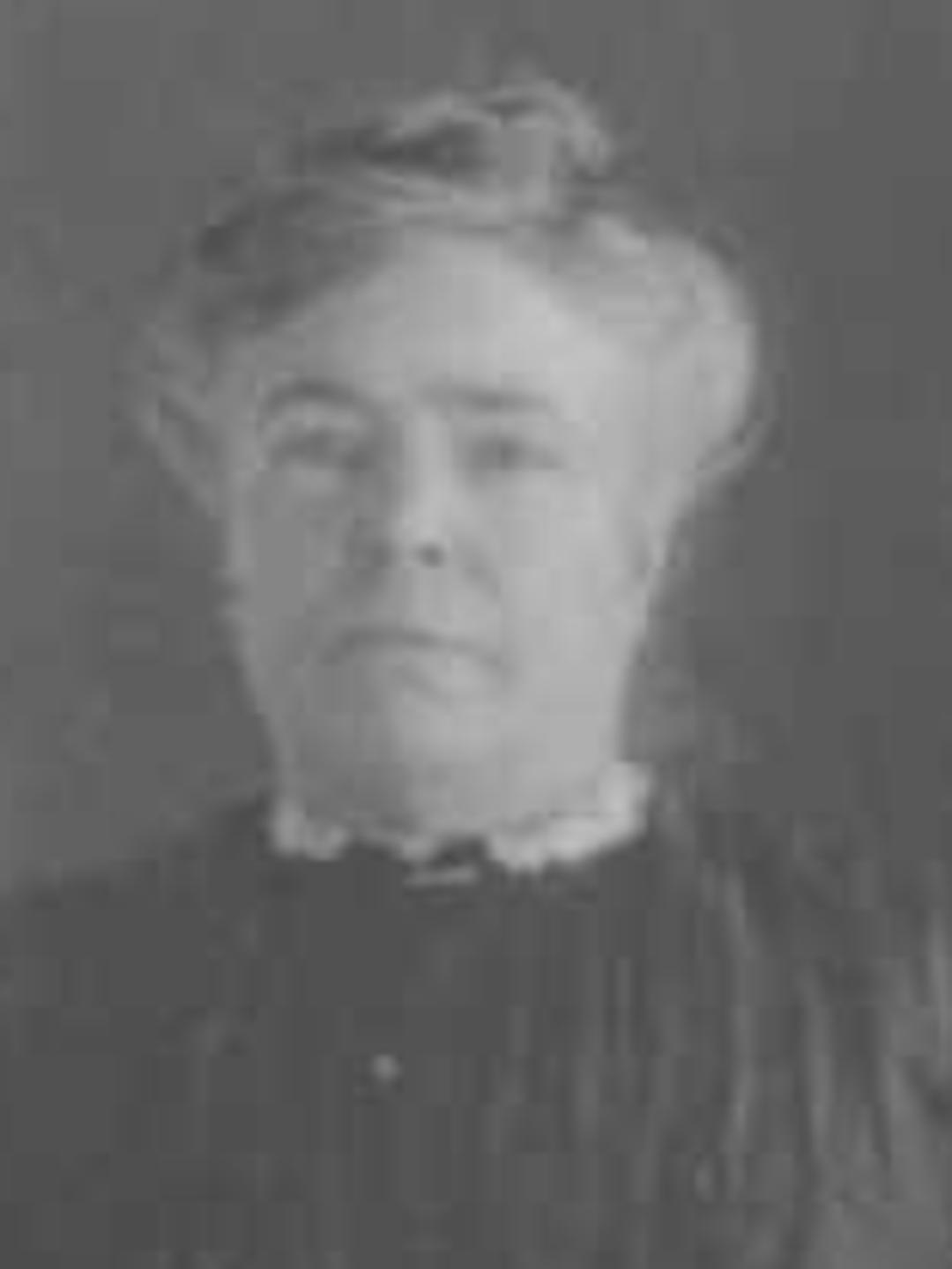 Elizabeth Lightner (1849 - 1927) Profile